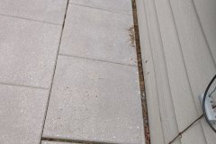 IMG_20200803_125420686