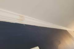 20201120_094037