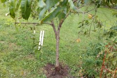 IMG_20200815_124337105