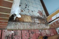 IMG_20200907_104221235