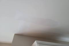 20210722_155436