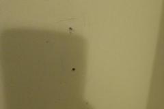 IMG_20200806_113635871