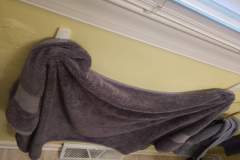 IMG_20200806_113656131