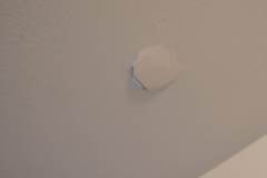 IMG_20200806_113903805