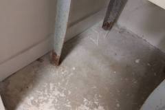 IMG_20200806_120115549