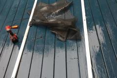 IMG_20200528_093919439