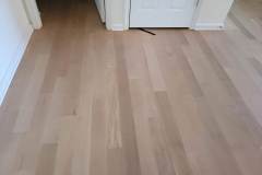 20231024_154941