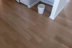 20231029_153516