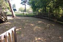 IMG_20200730_150656497