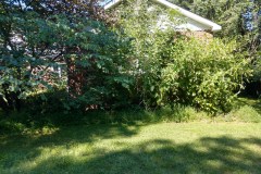 IMG_20200727_102446311_HDR