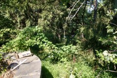 IMG_20200727_102534004_HDR