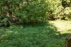 IMG_20200727_102733338_HDR